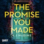 THE PROMISE YOU MADE cover image