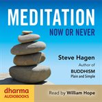 Meditation Now or Never cover image