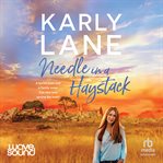 Needle in a Haystack cover image