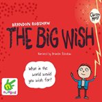 The big wish cover image