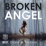 Broken angel cover image