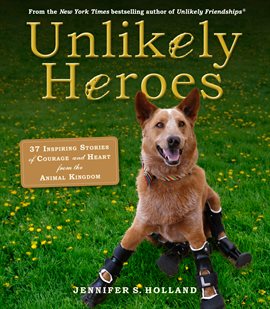 Cover image for Unlikely Heroes