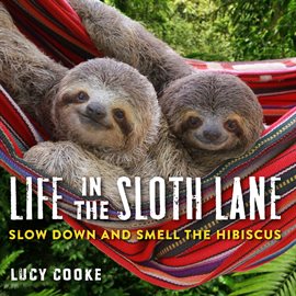 Cover image for Life in the Sloth Lane