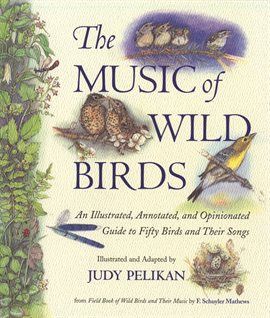 Cover image for The Music of Wild Birds