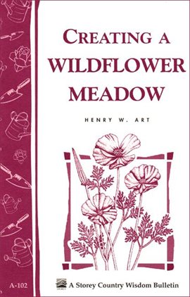 Cover image for Creating a Wildflower Meadow