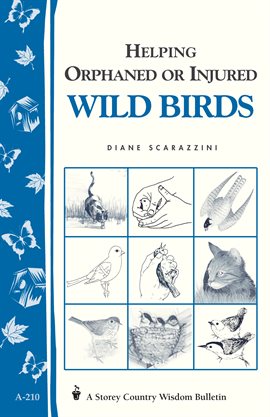 Cover image for Helping Orphaned or Injured Wild Birds