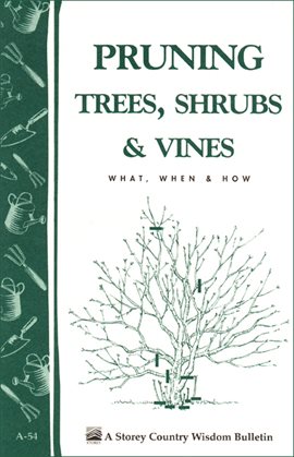 Cover image for Pruning Trees, Shrubs & Vines