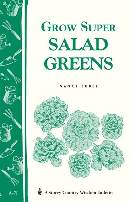 Cover image for Grow Super Salad Greens