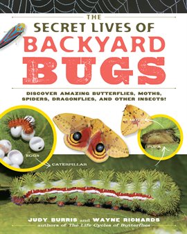 Cover image for The Secret Lives of Backyard Bugs