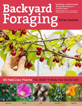 Cover image for Backyard Foraging