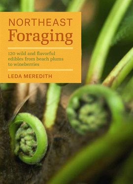 Cover image for Northeast Foraging