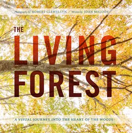 Cover image for The Living Forest