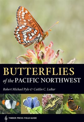 Cover image for Butterflies of the Pacific Northwest