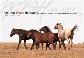 Cover image for Among Wild Horses