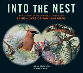 Cover image for Into the Nest