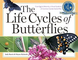 Cover image for The Life Cycles of Butterflies
