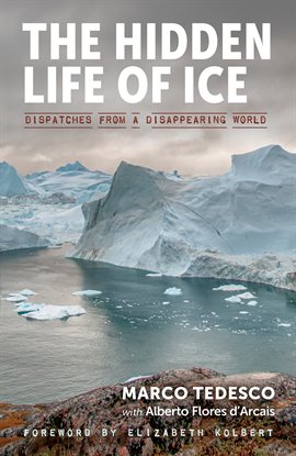 Cover image for The Hidden Life of Ice