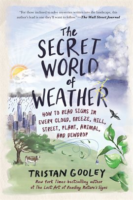 Cover image for The Secret World of Weather