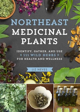Cover image for Northeast Medicinal Plants
