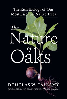 Cover image for The Nature of Oaks