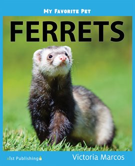 Cover image for Ferrets