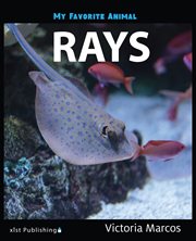 Rays cover image