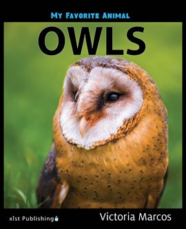 Cover image for Owls
