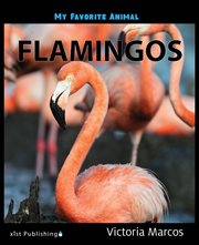 Flamingos cover image