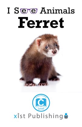 Cover image for Ferret
