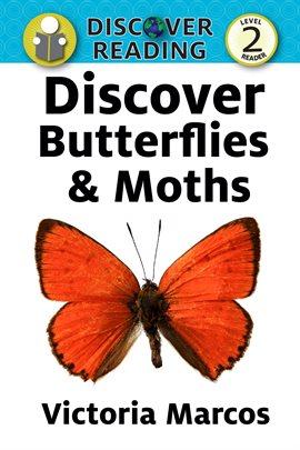 Cover image for Discover Butterflies & Moths