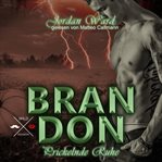 Brandon : Prickelnde Ruhe, Band 3. Secret Desire (German) cover image