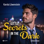 Little Secrets in the Dark cover image