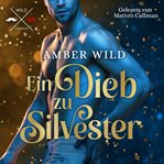 Ein Dieb Zu Silvester : Humorvolle Gay Romance Zu Weihnachten cover image