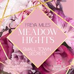 Meadow Hights : Small Town Secrets. New York Gentlemen (German) cover image