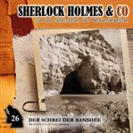 Der Schrei Der Banshee, Episode 1 cover image