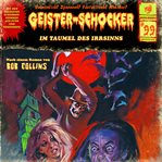 Im Taumel Des Irrsinns : Geister-Schocker (German) cover image