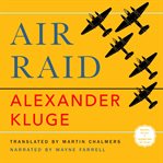 Air Raid cover image