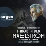 Hinab in den Maelström : Ein Erzählkonzert cover image