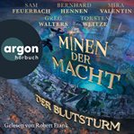 Der Blutsturm cover image